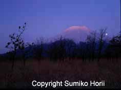 kitafuji enshujyou